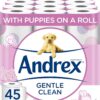 Andrex Gentle Clean Toilet Roll, 90-Rolls