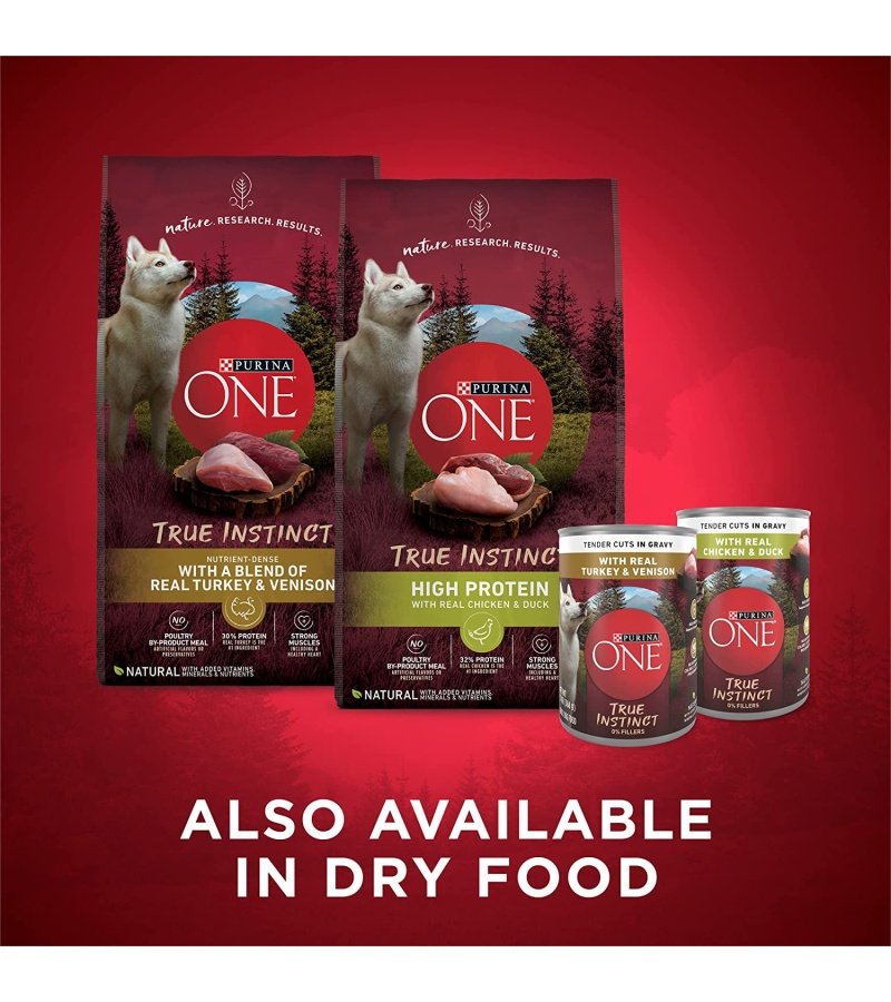 img-6a3434aaf2c0b8ea450dcdf273df24f0