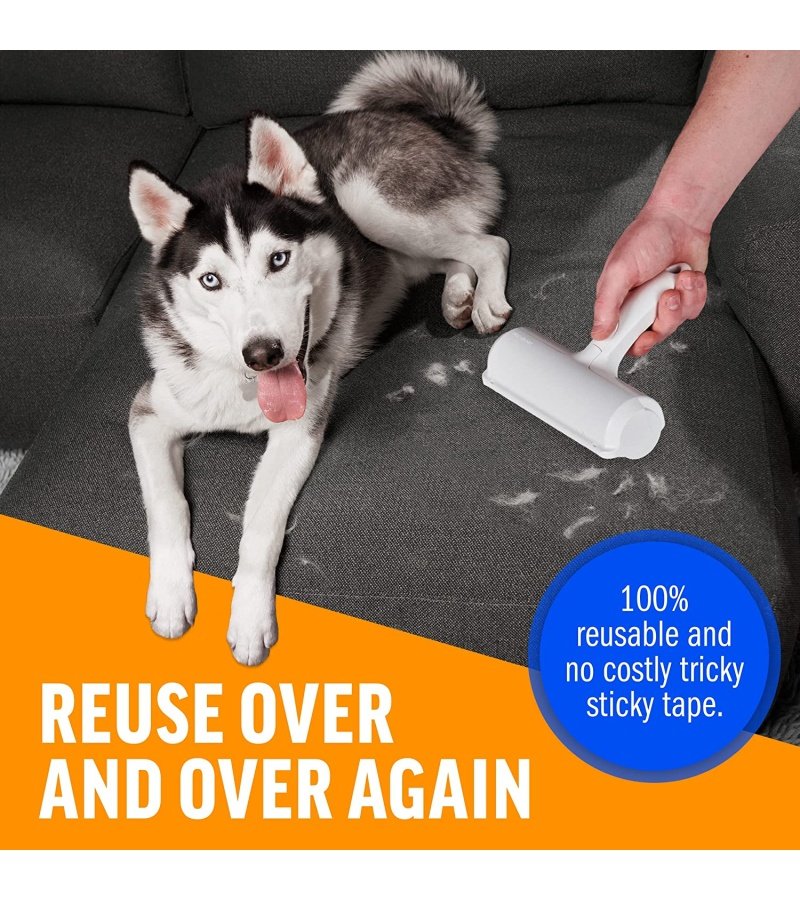 img-6d95fa69a7a59a984897bd153c4dd121