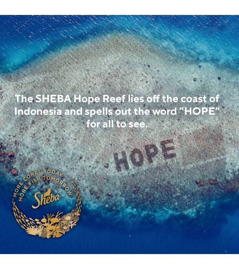 img-73e3027d66061fcf1057e09b60340267